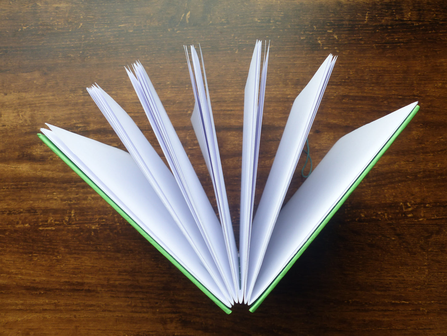 Carnet Taureau harmonieux