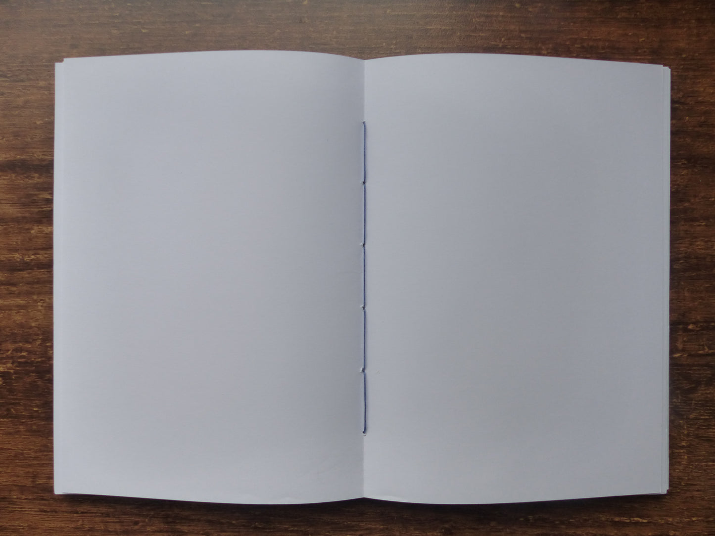 Carnet Grand bleu