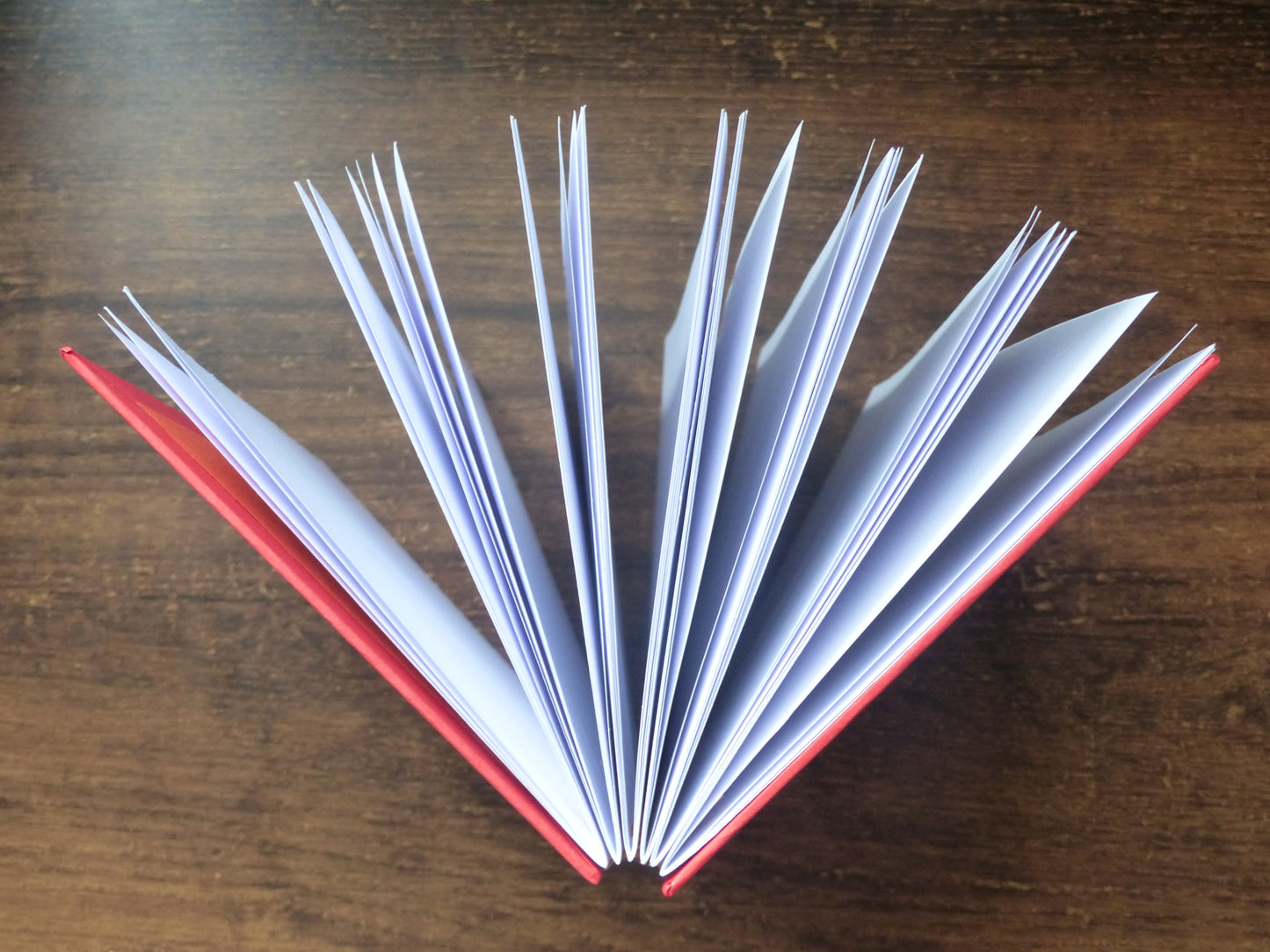 Carnet Bélier étincelant