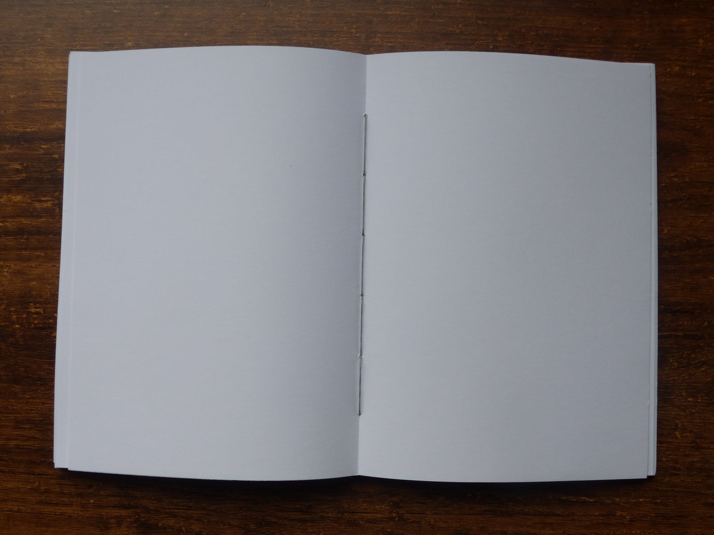 Carnet Gémeaux curieux