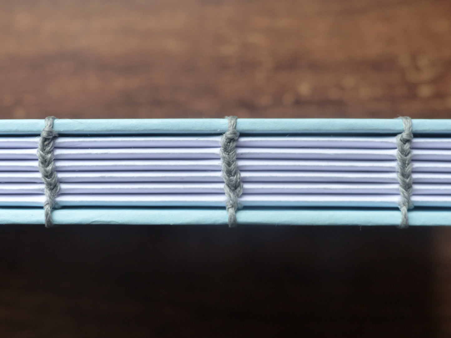 Carnet Gémeaux curieux