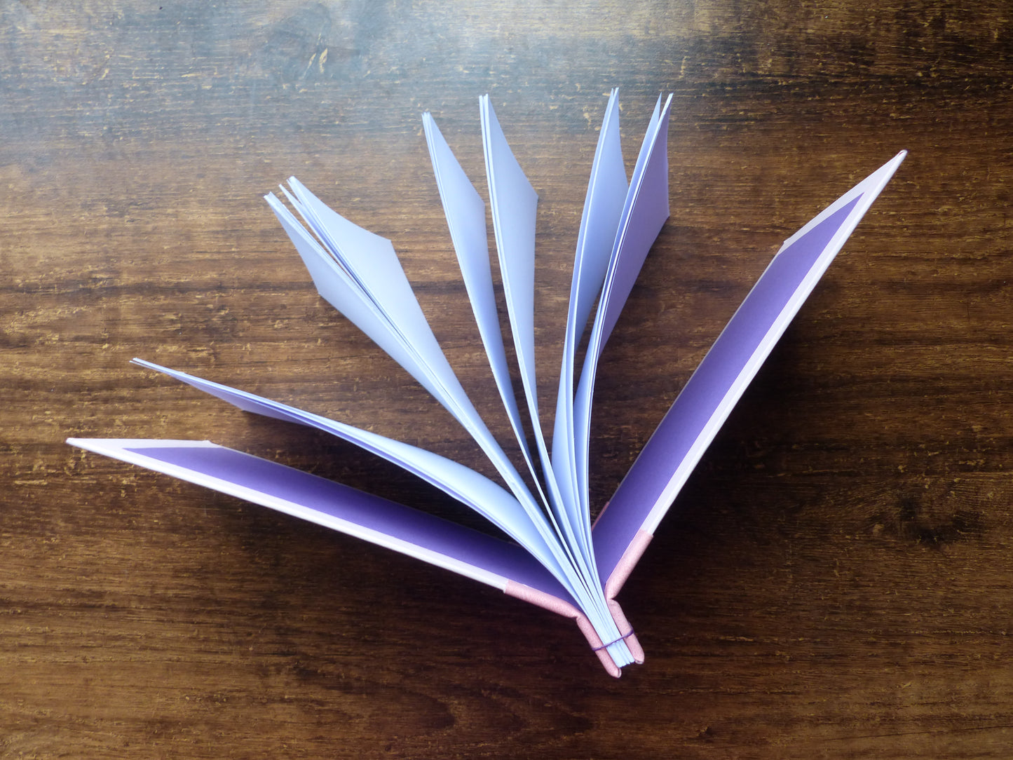 Carnet Fleurs dans le vent