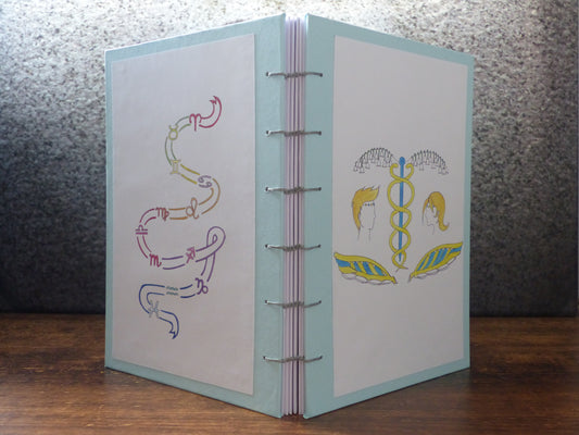 Carnet Gémeaux curieux