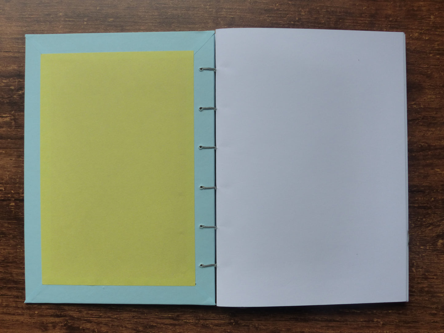Carnet Gémeaux curieux
